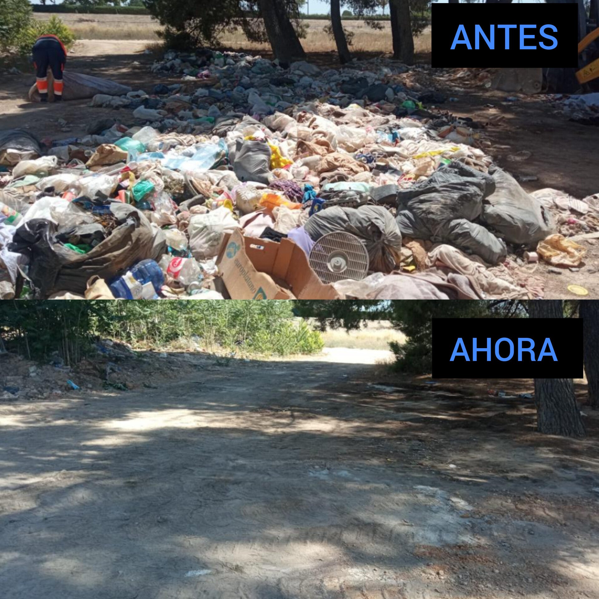 El Ayuntamiento limpia y mejora el Camino de la Hoya de San Ginés a la Pulgosa El Ayuntamiento limpia y mejora el Camino de la Hoya de San Ginés a la Pulgosa