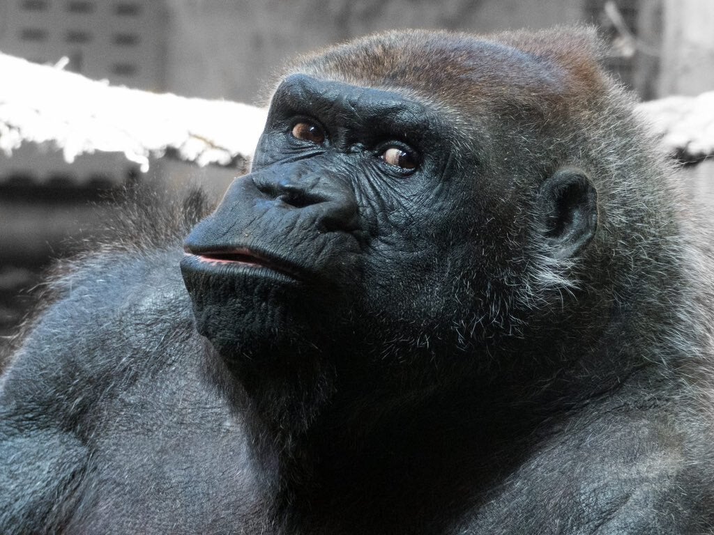 Más de uno Cantabria 11/08/2023 Más de uno Cantabria 11/08/2023