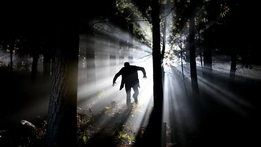 Imagen de terror Imagen de terror