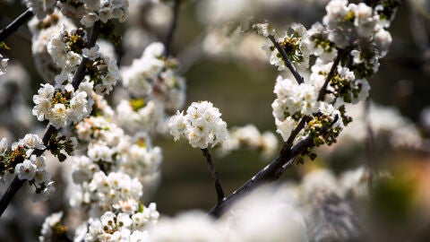 De ruta por el Valle del Jerte con la c&aacute;mara de SuperKarmen 