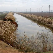 Canal De Los Yesos En Lebrija. Canal De Los Yesos En Lebrija.