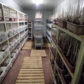 Insectario Alzira