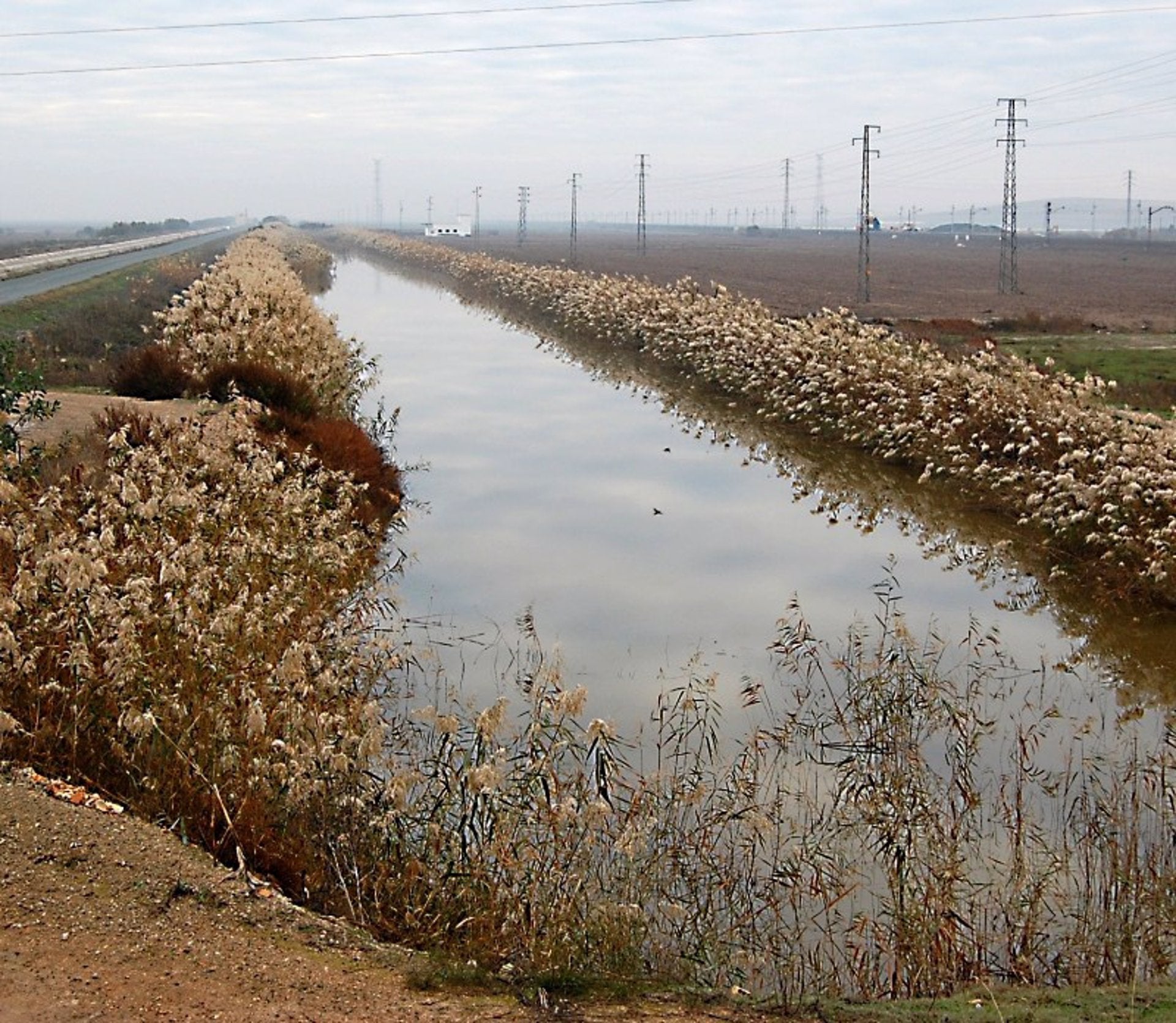 El Consorcio de Bomberos rescata el cadáver de un hombre en un canal cercano a Lebrija El Consorcio de Bomberos rescata el cadáver de un hombre en un canal cercano a Lebrija