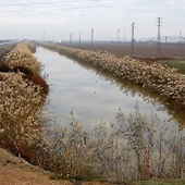Canal De Los Yesos En Lebrija. Canal De Los Yesos En Lebrija.
