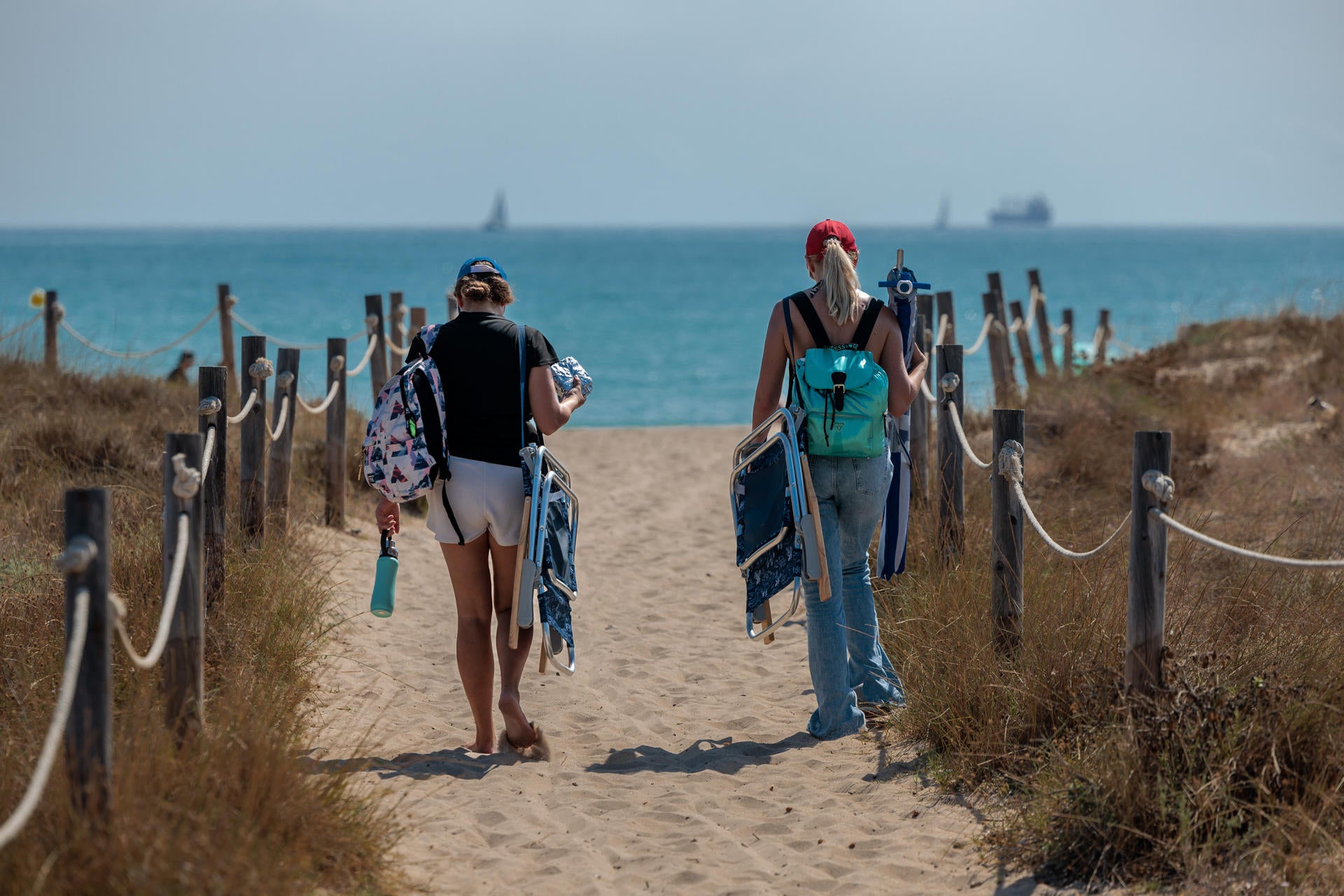 El Ayuntamiento de València no quiere más parches ante la regresión que sufren las playas del sur de la ciudad El Ayuntamiento de València no quiere más parches ante la regresión que sufren las playas del sur de la ciudad
