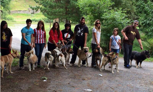 "Todos debemos poner algo de nuestra parte para la protección animal en nuestros concejos" "Todos debemos poner algo de nuestra parte para la protección animal en nuestros concejos"