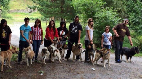 Voluntarios con las mascotas