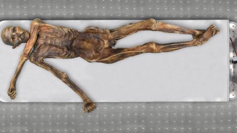El hombre de hielo Oetzi era calvo de piel oscura y con ascendencia anatolia