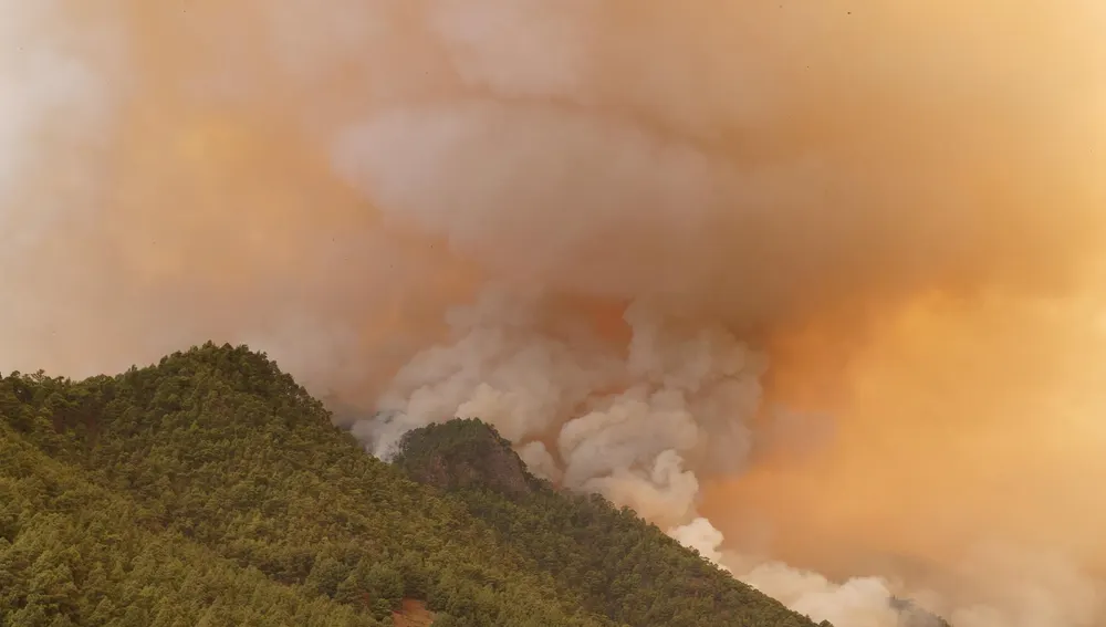 Arde la corona forestal de Tenerife en un incendio forestal declarado en la noche del martes 15 de agosto de 2023