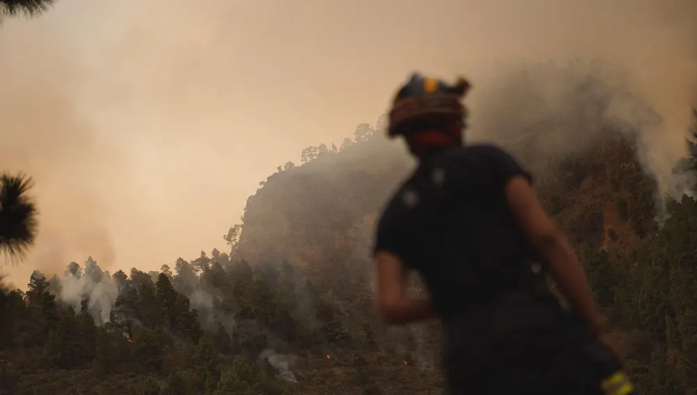Efectivos desplegados en la zona afectada por el incendio forestal de Tenerife