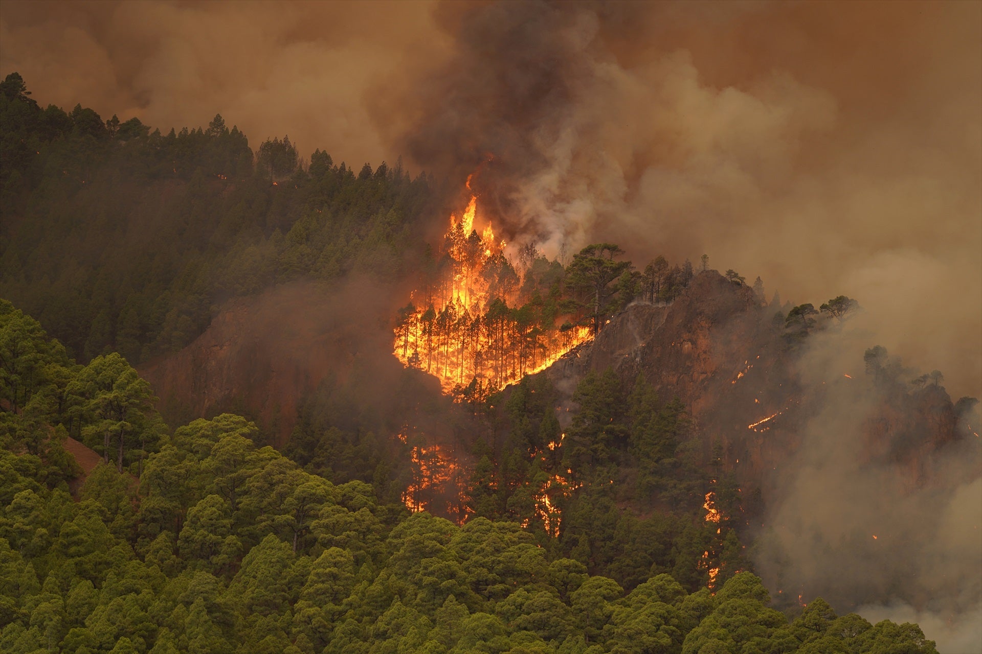 Galería de imágenes: el incendio en Tenerife sigue fuera de "capacidad de control" Galería de imágenes: el incendio en Tenerife sigue fuera de "capacidad de control"