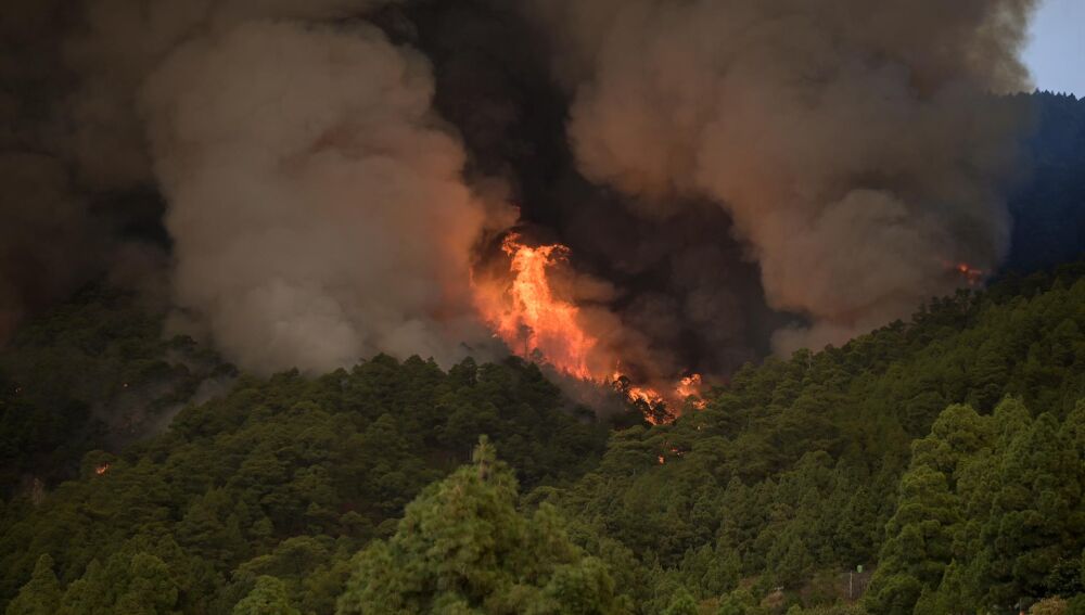 El incendio declarado en la noche de este pasado martes en Tenerife sigue fuera de control 
