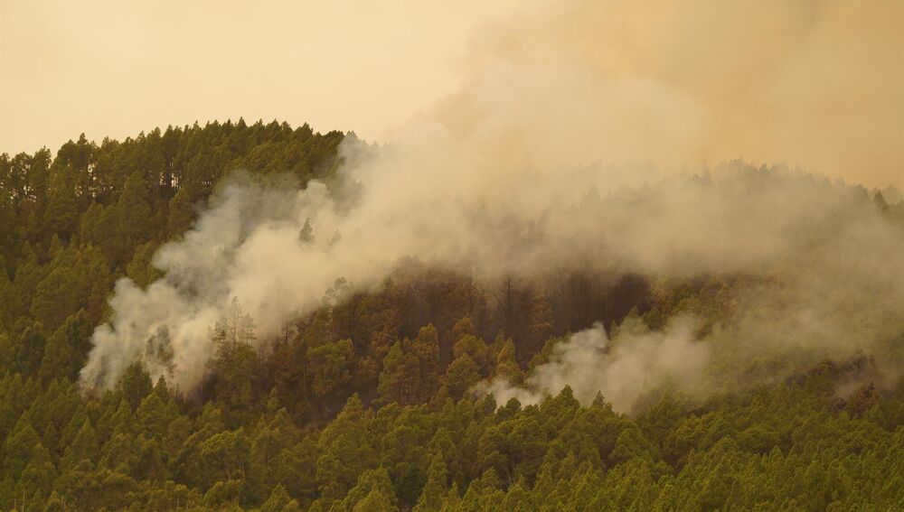 Imagen del incendio de Teneriefa activo desde el pasado martes