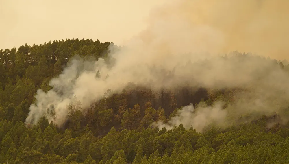 Imagen del incendio de Teneriefa activo desde el pasado martes Imagen del incendio de Teneriefa activo desde el pasado martes