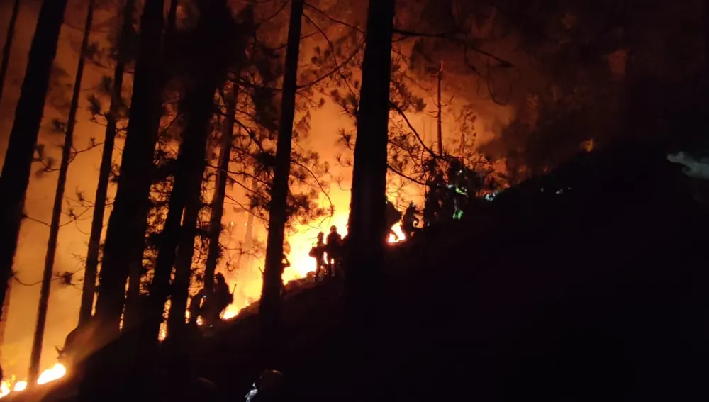 Bomberos trabajando en labores de extinción del incendio de Tenerife