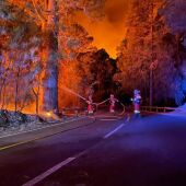 Efectivos de la UME trabajan en las labores de extinción del incendio de Tenerife 