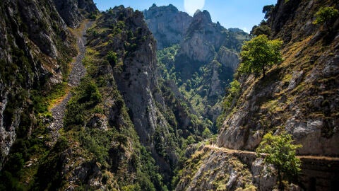 Un alto en el camino