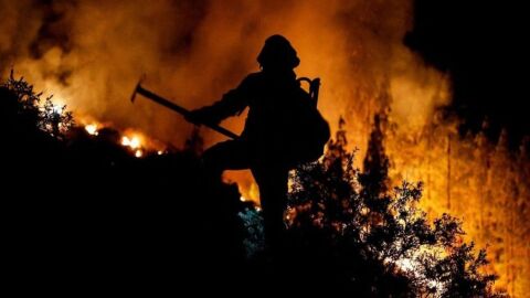 Imagen de archivo de los bomberos de Tenerife interviniendo en un incendio forestal en el verano de 2023