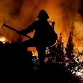 Bomberos de Tenerife luchan contra las llamas en el flanco norte del incendio declarado el pasado martes 