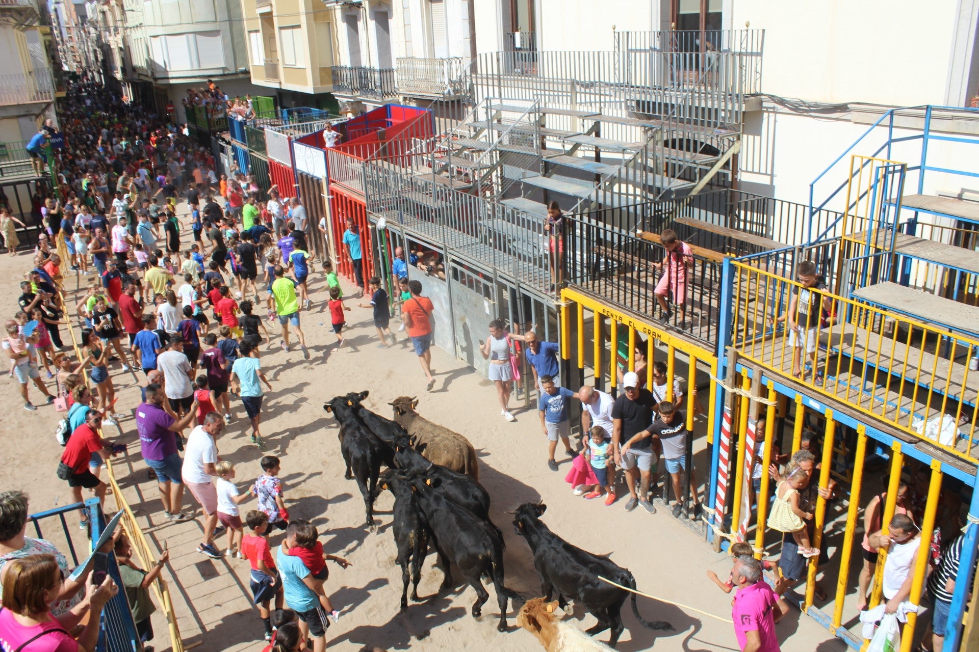 Nules celebra hoy el sopar de germanor con la participación de unas 3.500 personas Nules celebra hoy el sopar de germanor con la participación de unas 3.500 personas