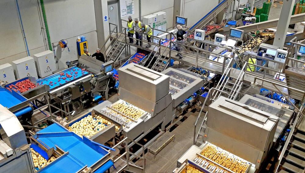 Línea de producción de Patatas Hijolusa
