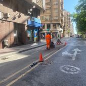 Desmantelación del carril bici de la avenida Juan Carlos I.