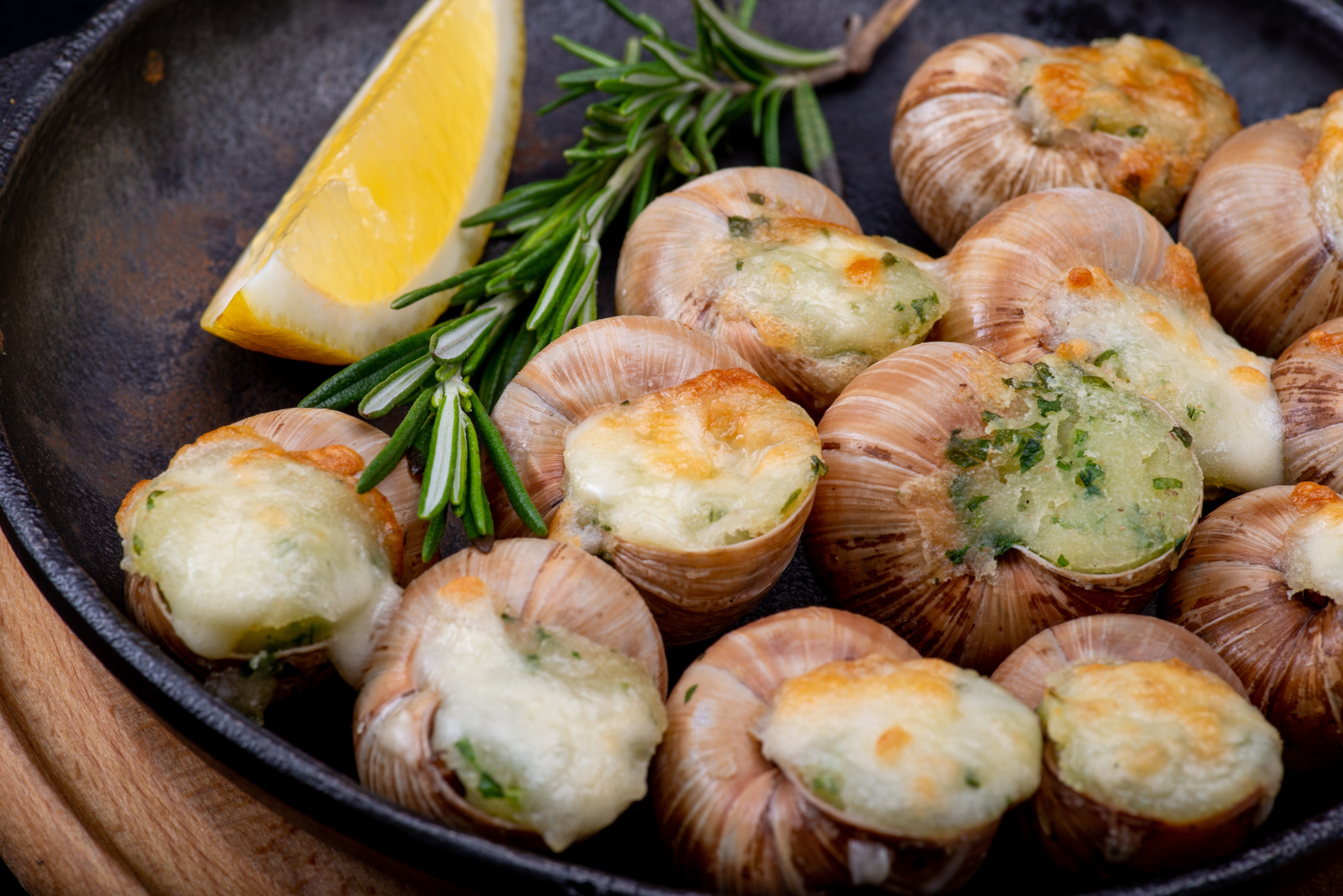 Recetas para preparar unos riquísimos caracoles Recetas para preparar unos riquísimos caracoles