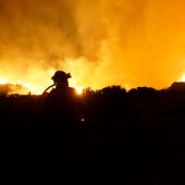 Trabajos efectuados por la Unidad Militar de Emergencias en el incendio de Tenerife