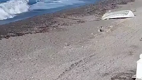 As&iacute; desembarca una patera en la playa de Guainos, Adra