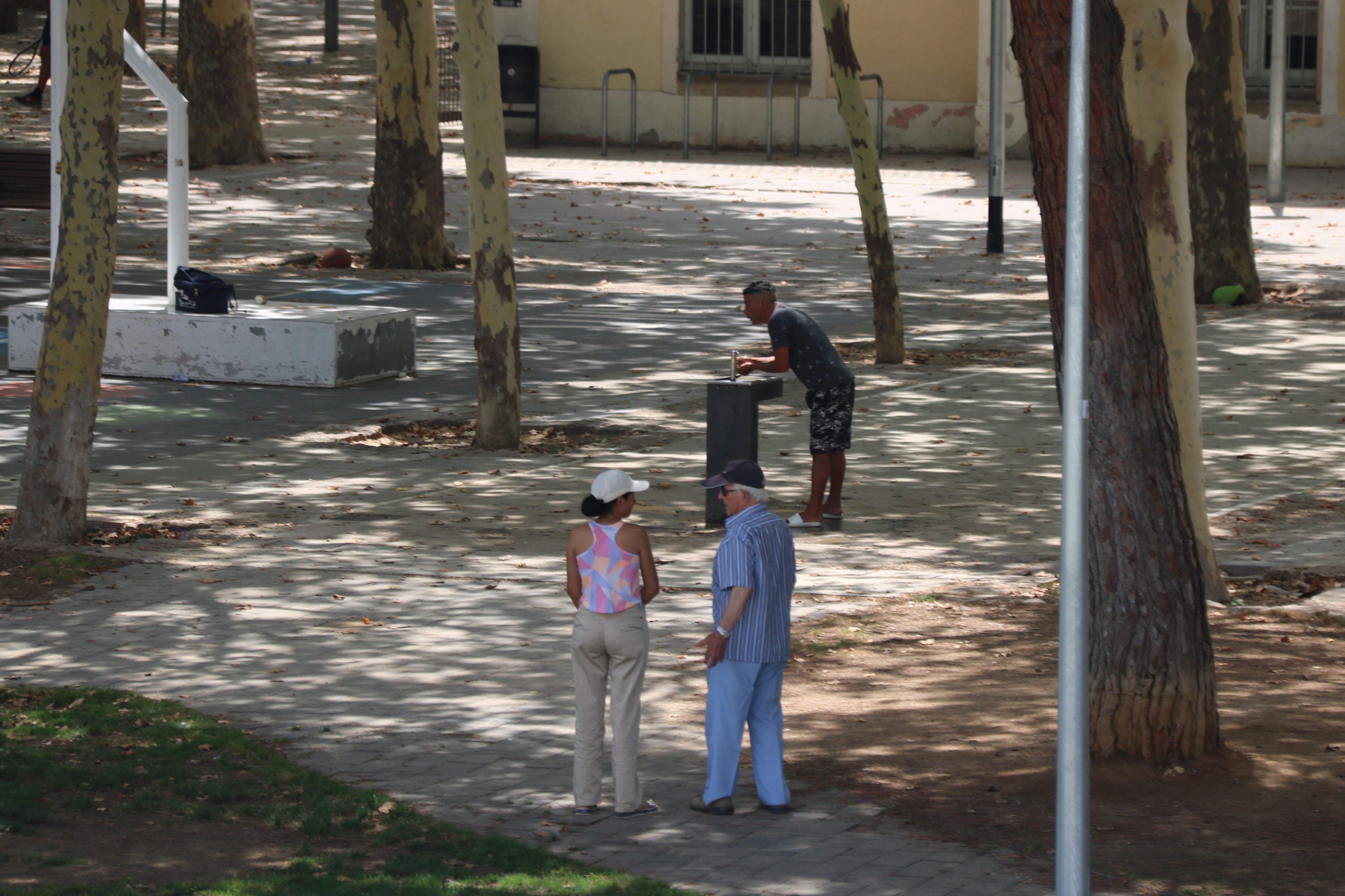 Rècord de temperatures nocturnes a Catalunya Rècord de temperatures nocturnes a Catalunya