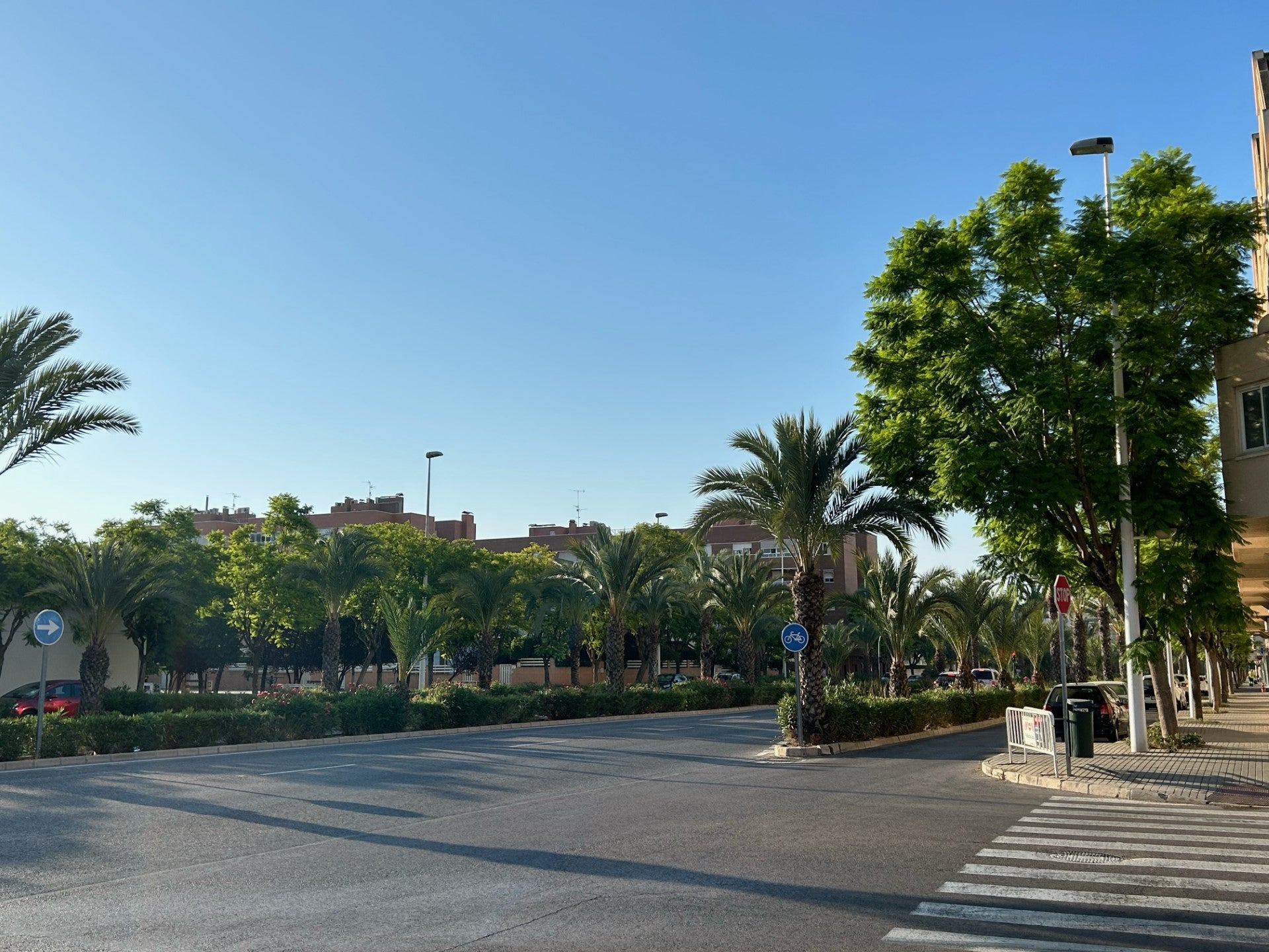 Elche, Santa Pola y Crevillent esperan un martes soleado y sin cambios en las temperaturas Elche, Santa Pola y Crevillent esperan un martes soleado y sin cambios en las temperaturas