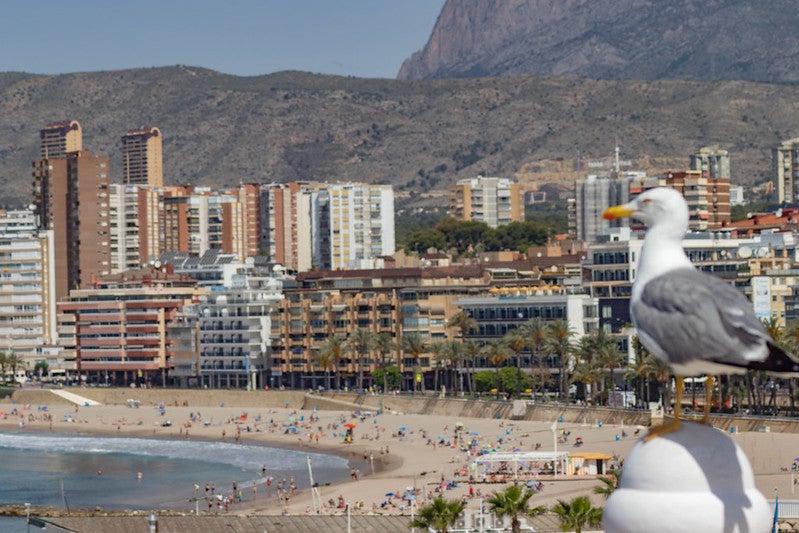 Benidorm alarga la temporada alta y roza una ocupación del 90% de sus camas hoteleras la primera quincena de septiembre Benidorm alarga la temporada alta y roza una ocupación del 90% de sus camas hoteleras la primera quincena de septiembre