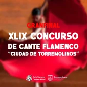 Gran final del XLIX Concurso de Cante Flamenco ‘Ciudad de Torremolinos’ Gran final del XLIX Concurso de Cante Flamenco ‘Ciudad de Torremolinos’