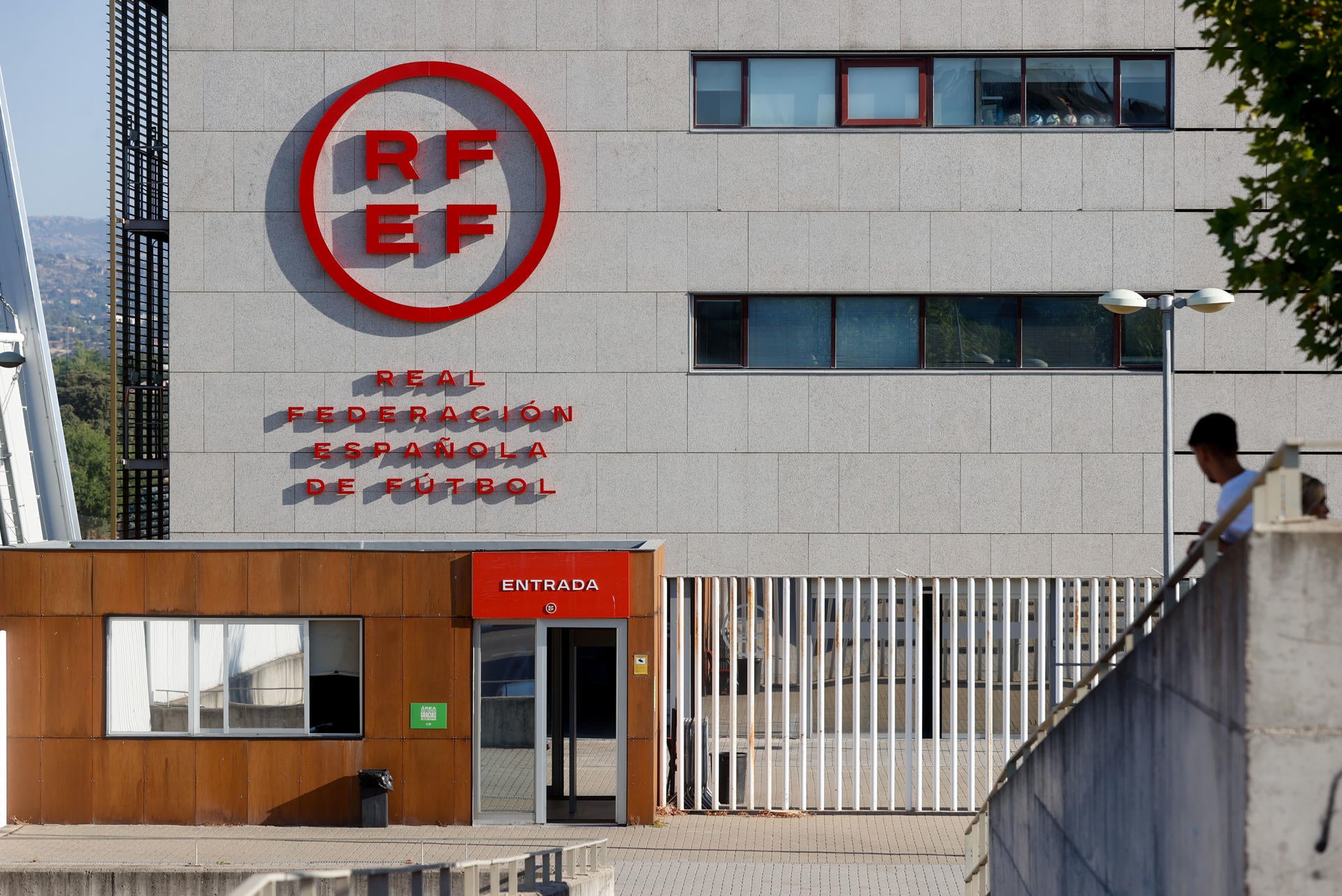 Los pasos a seguir por la RFEF para elegir al sustituto de Rubiales Los pasos a seguir por la RFEF para elegir al sustituto de Rubiales