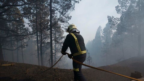 Bomberos de G&uuml;&iacute;mar en el bosque de Las Ra&iacute;ces