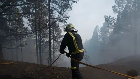 Bomberos de Güímar en el bosque de Las Raíces Bomberos de Güímar en el bosque de Las Raíces