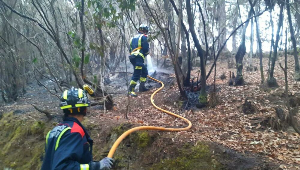 Bomberos de Tenerife trabajan sobre el terreno 