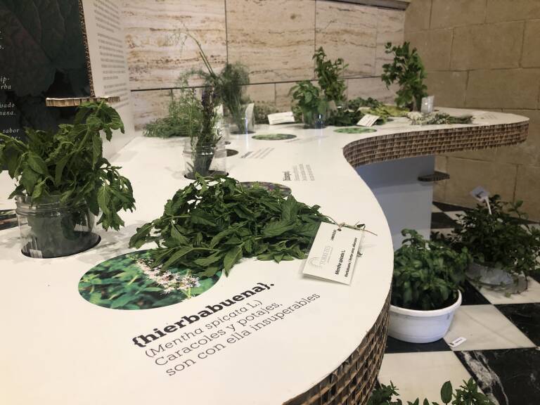 Elche presenta la programación cultural para la próxima semana Elche presenta la programación cultural para la próxima semana