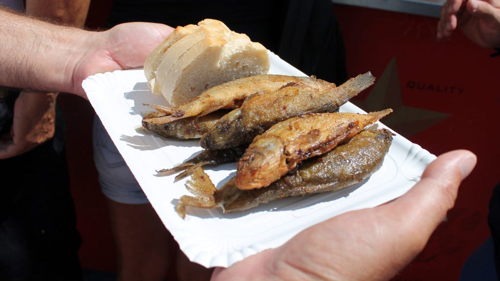 Brozas es el anfitrión de la Fiesta de la Tenca 2023 en su 35 edición Brozas es el anfitrión de la Fiesta de la Tenca 2023 en su 35 edición