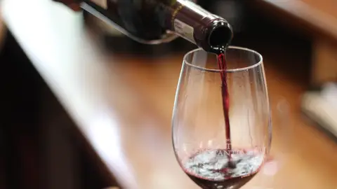 Vinos argentinos Vinos argentinos