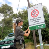 Els Agents Rurals decideixen mantenir el nivell 3 del Pla Alfa per risc d’incendis al sud de Catalunya Els Agents Rurals decideixen mantenir el nivell 3 del Pla Alfa per risc d’incendis al sud de Catalunya