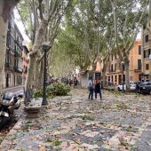 Endesa trabaja para restablecer el suministro eléctrico de 1.080 clientes afectados por el temporal en Mallorca
