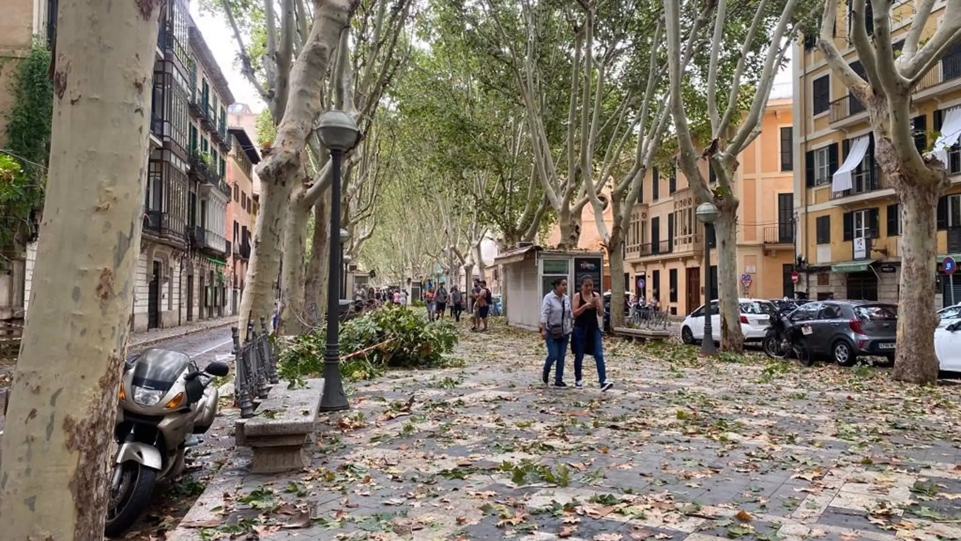 Endesa trabaja para restablecer el suministro eléctrico de 1.080 clientes afectados por el temporal en Mallorca