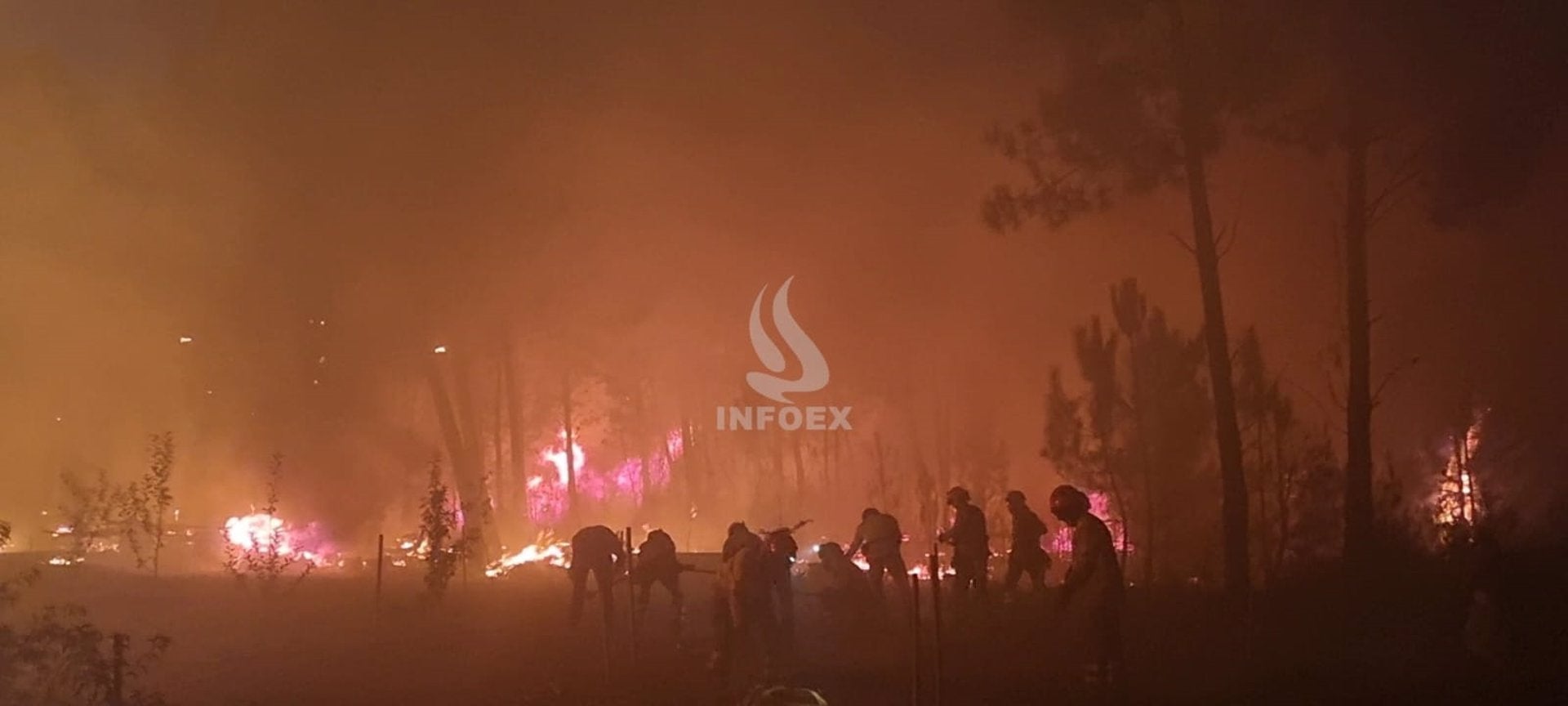 Los incendios del fin de semana en Extremadura afectan a unas 138 hectáreas Los incendios del fin de semana en Extremadura afectan a unas 138 hectáreas