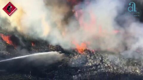 Extinguen el incendio forestal declarado en el término de Mutxamel 