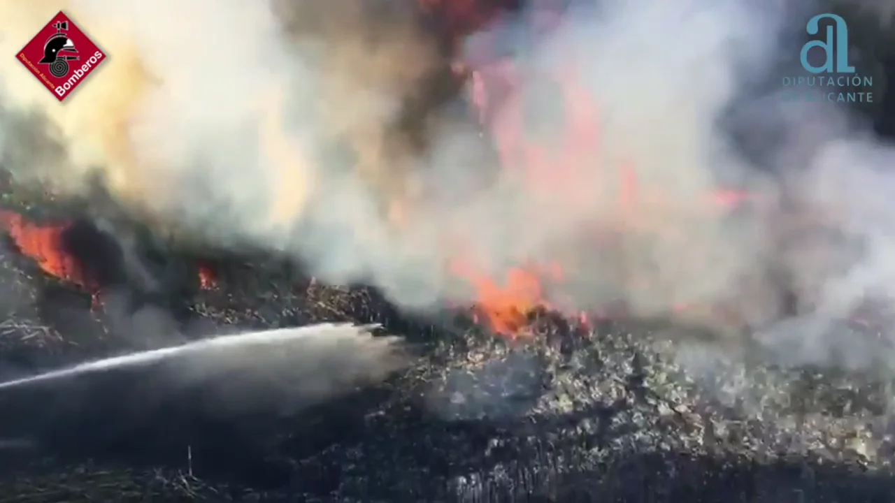 Extinguen el incendio forestal declarado en el t&eacute;rmino de Mutxamel 
