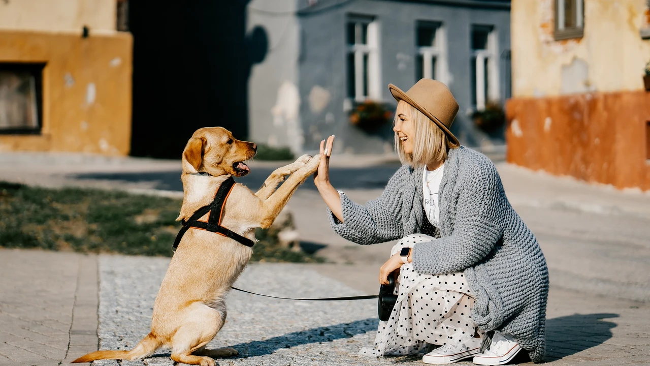 Un perro con su dueña