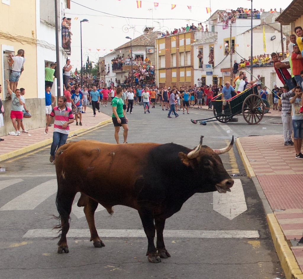 Hasta la Bola Hasta la Bola