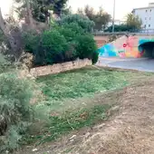 El Ayuntamiento de Benidorm lleva a cabo la limpieza a fondo de los tramos urbanos de los barrancos El Ayuntamiento de Benidorm lleva a cabo la limpieza a fondo de los tramos urbanos de los barrancos