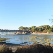 Una instantánea de la recreación histórica de la Batalla del Trocadero el año 2022 Una instantánea de la recreación histórica de la Batalla del Trocadero el año 2022